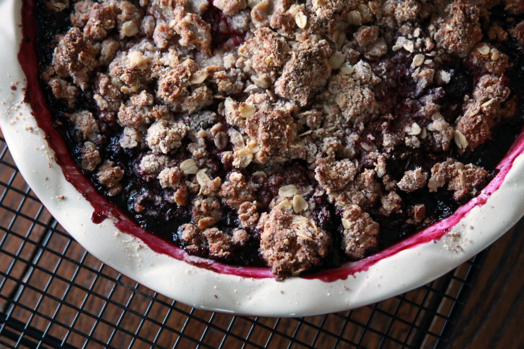 Blueberry_Oat_Biscuit_Cobbler_1