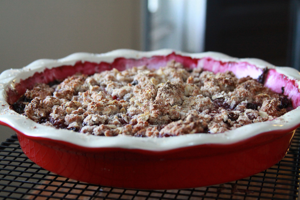 Blueberry_Oat_Biscuit_Cobbler_2