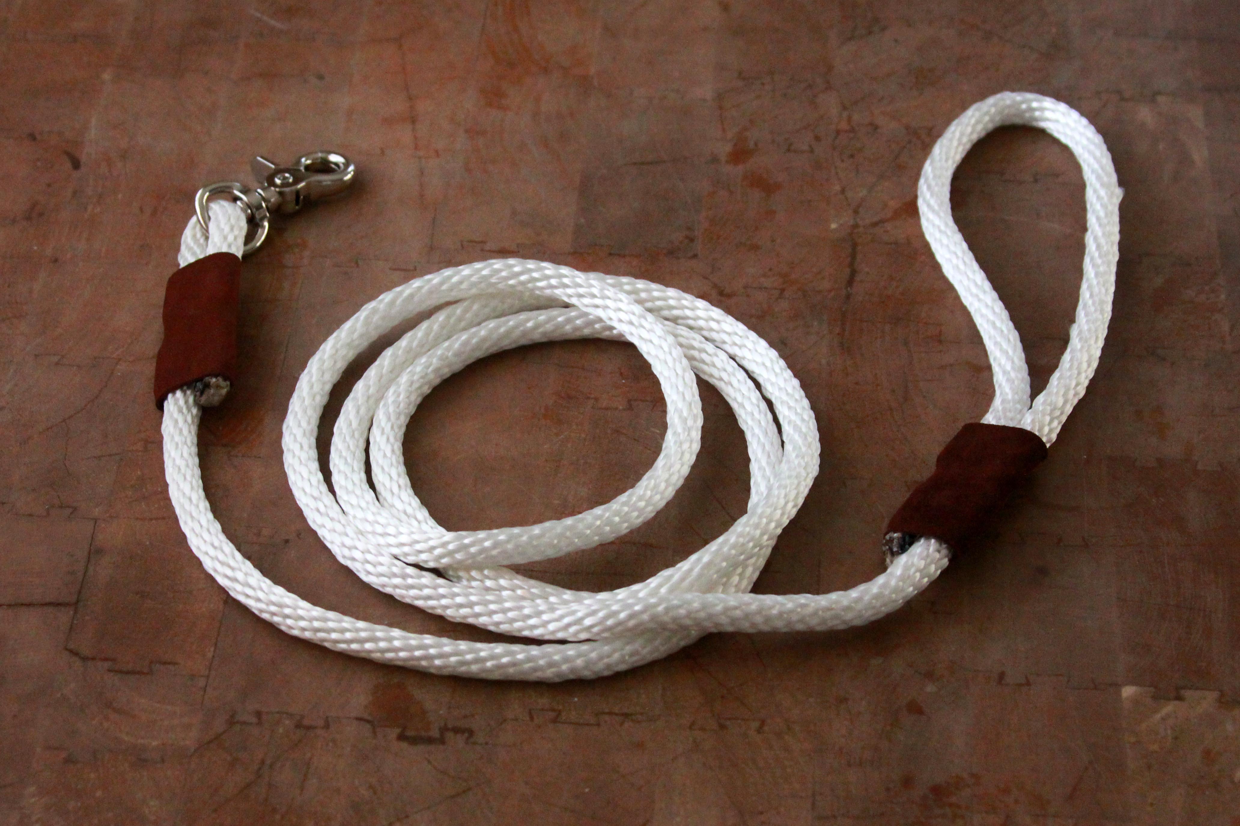 Braided Leather Dog Leash DIY 